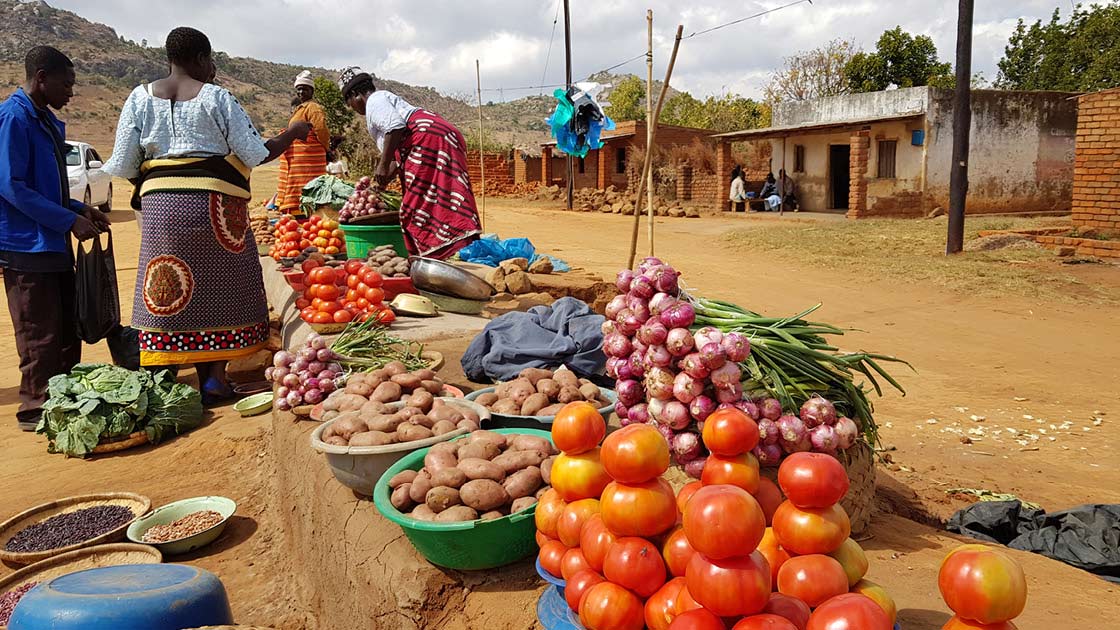 Vorschaubild: Praktische Lebenshilfe