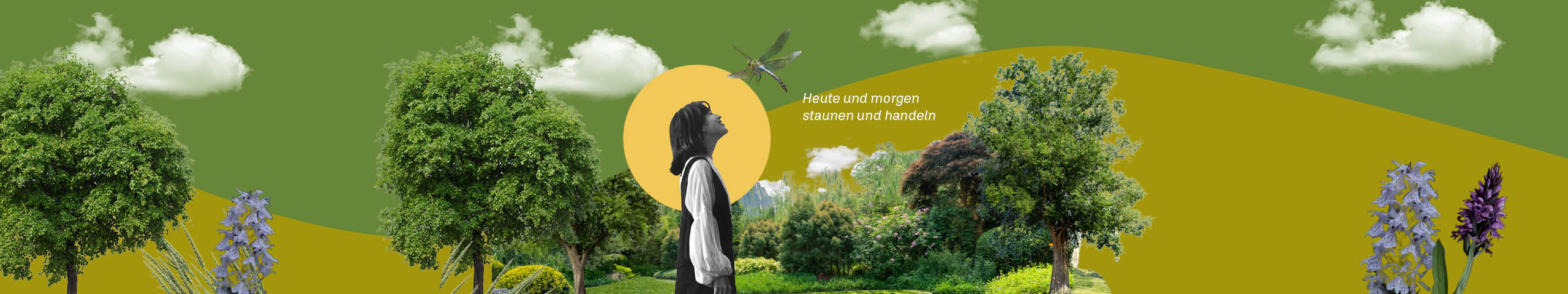 Banner: Antenne, Ausgabe 07/08 2025